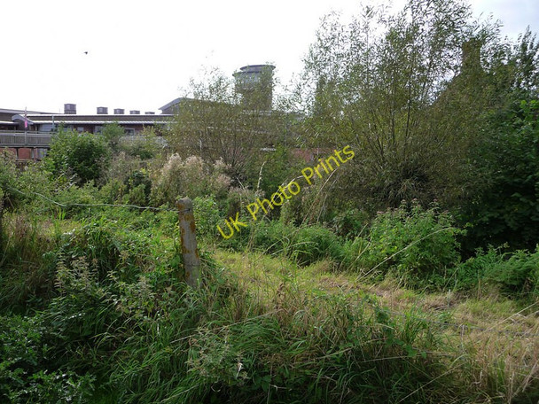 Photo 6"x4" Visitor Centre, Slimbridge Wetland Centre Shepherd's Patch c2009
