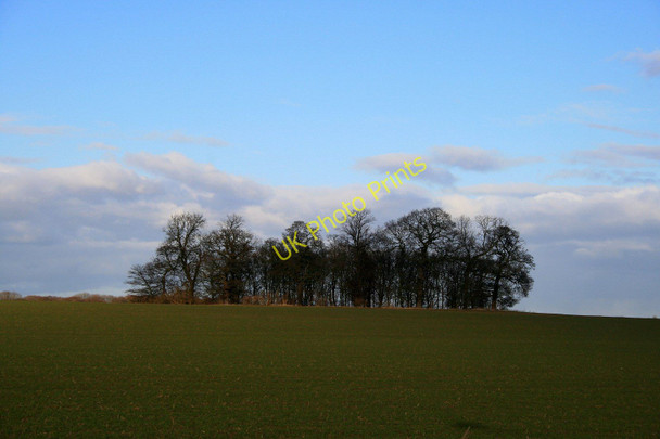 Photo 6"x4" Small plantation near Saxondale Newton\/SK6841 c2010