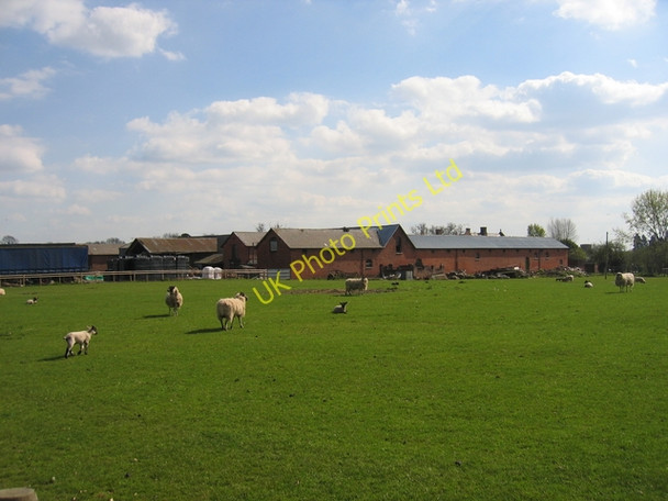 Photo 6"x4" Castle Farm, Studley Mappleborough Green c2006