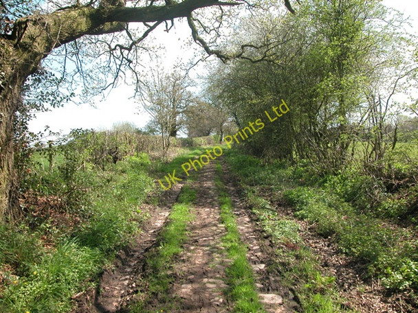 Photo 6"x4" Bishop Bennet Way Newton\/SJ5059 c2006