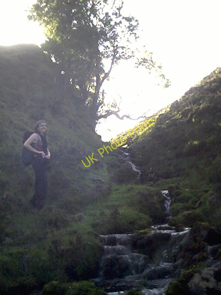 Photo 6"x4" Elf-house burn Elf House c2004