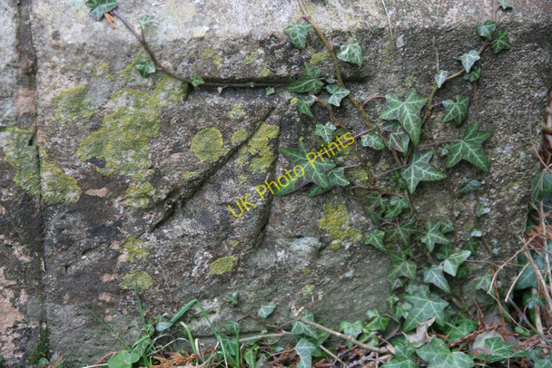 Photo 6"x4" Bench mark on the church Tidmarsh c2010