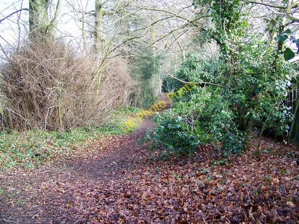 Photo 6"x4" Footpath, Over Wallop Middle Wallop c2010