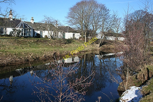 Photo 6"x4" Easter Calcots Darkland c2010