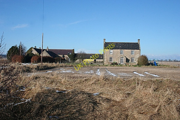 Photo 6"x4" Mid Mains Quarrywood c2010 P1