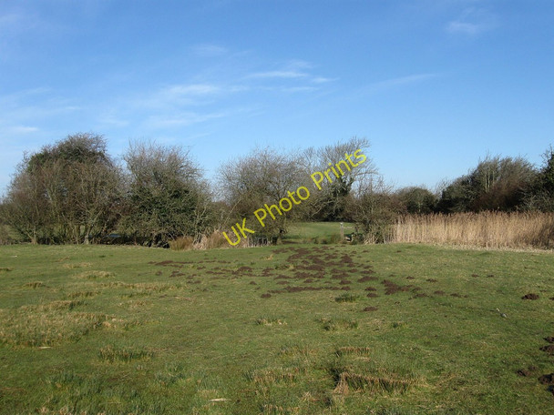 Photo 6"x4" Moles at Work, Glynleigh Level Hailsham c2010