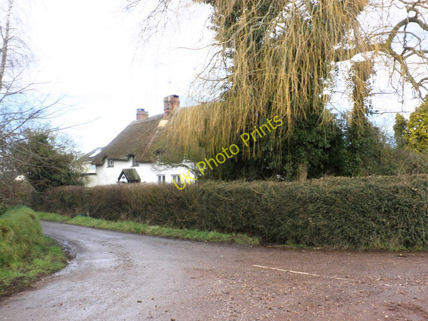 Photo 6"x4" Thatched cottage, Brookleigh Brookleigh c2010
