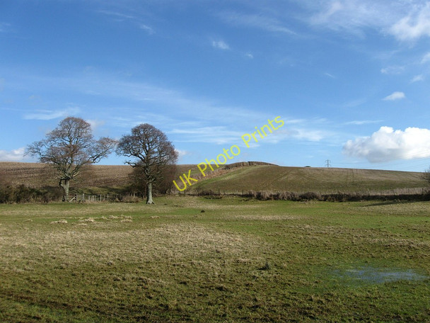 Photo 6"x4" Footpath to Hankham (1) Hankham c2010