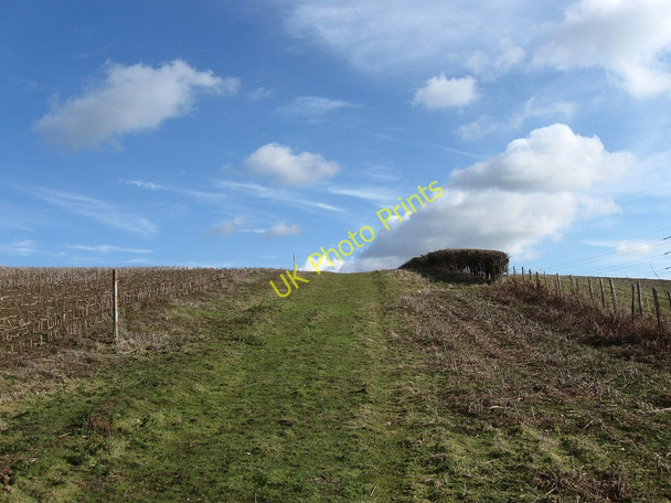 Photo 6"x4" Footpath to Hankham (2) Hankham c2010