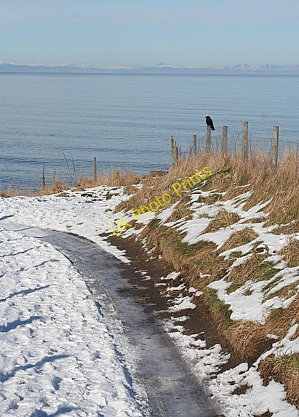 Photo 6"x4" Crow on a Post Covesea c2010