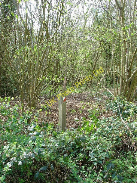 Photo 6"x4" Orienteering Marker, Southwater Country Park, Southwater, West Sussex Copsale c2005