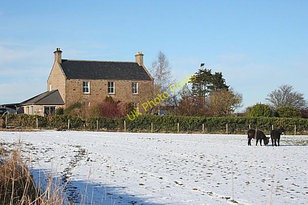 Photo 6"x4" Keam Farm Duffus c2010