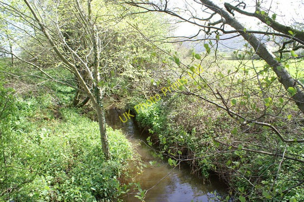 Photo 6"x4" Yeo River Ubley c2006