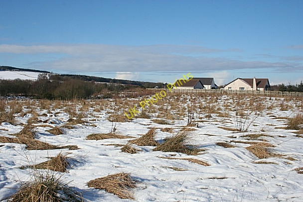 Photo 6"x4" Rough Grazing at Culvie Finnygaud c2010