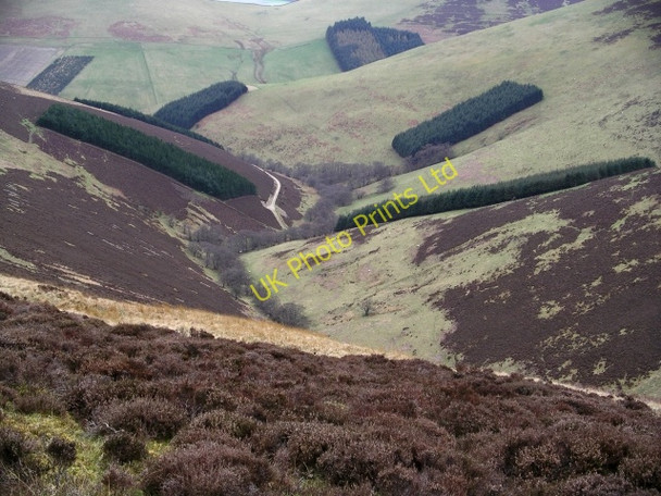 Photo 6"x4" Valley of the Back Burn Holylee c2006