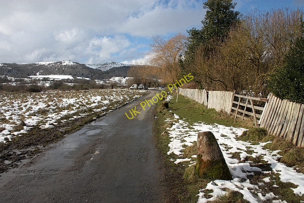 Photo 6"x4" Hancocks Lane on the edge of Castlemorton Common Marl Bank c2010
