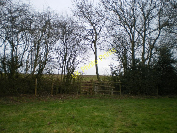 Photo 6"x4" Stile and hedge in the corner of a field near Brockton Brockton\/SJ7203 c2010
