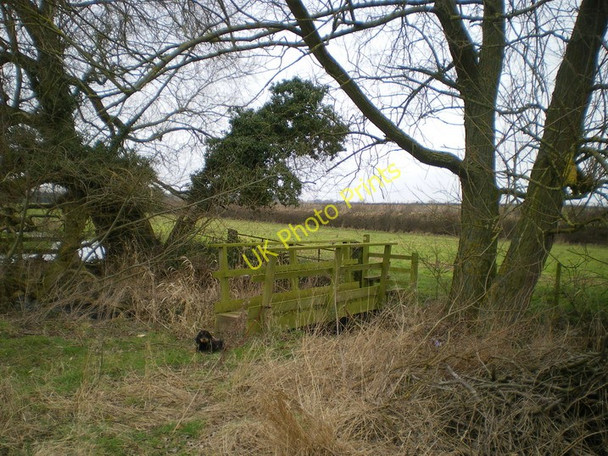 Photo 6"x4" Footbridge over the Mad Brook Brockton\/SJ7203 c2010