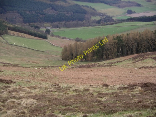 Photo 6"x4" Perlooie Wood Holylee c2006