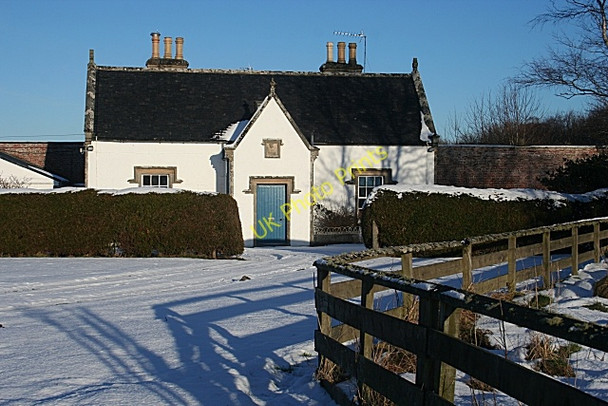 Photo 6"x4" Garden House Cullen\/NJ5167 c2010