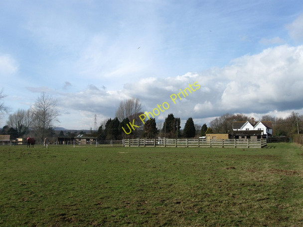 Photo 6"x4" Thorns Land Hankham c2010