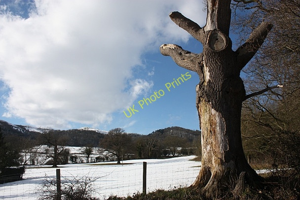 Photo 6"x4" Fields of Little Malvern Chandler's Cross\/SO7738 c2010