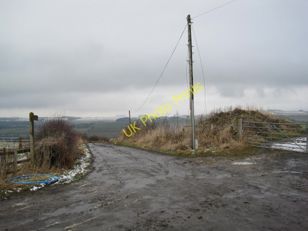 Photo 6"x4" Byway to West Land Ends Langley\/NY8261 c2010