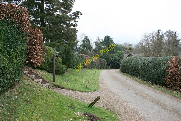 Photo 6"x4" Milton Street Dorking c2010