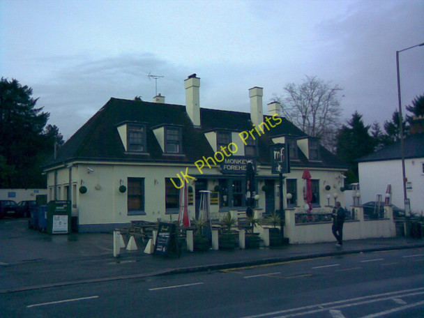 Photo 6"x4" The Monkey's Forehead, Egham Hill Egham c2010
