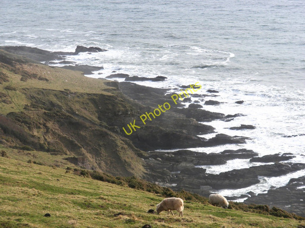 Photo 6"x4" Searush Cove, Noss Mayo Noss Mayo c2010