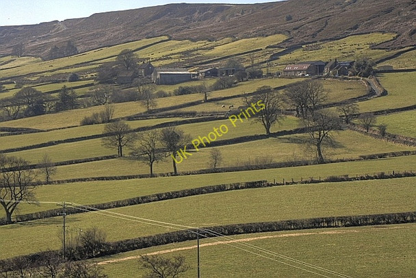 Photo 6"x4" West Green Farm Westerdale\/NZ6605 c2010