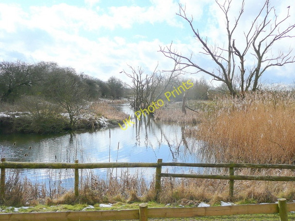 Photo 6"x4" View from the Kingfisher Hide Shepherd's Patch c2010