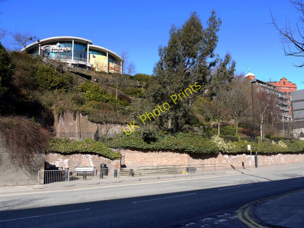 Photo 6"x4" Breakneck Stairs and the Hanging Gardens Newcastle upon Tyne c2010