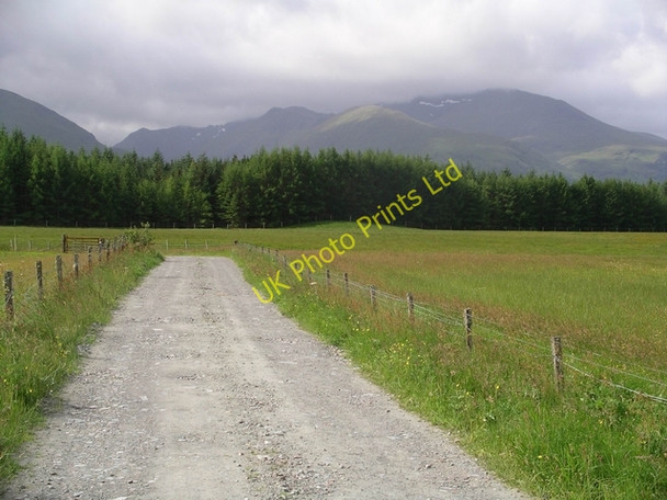 Photo 6"x4" Meadow and forest at Corriechoille Inverroy c2005