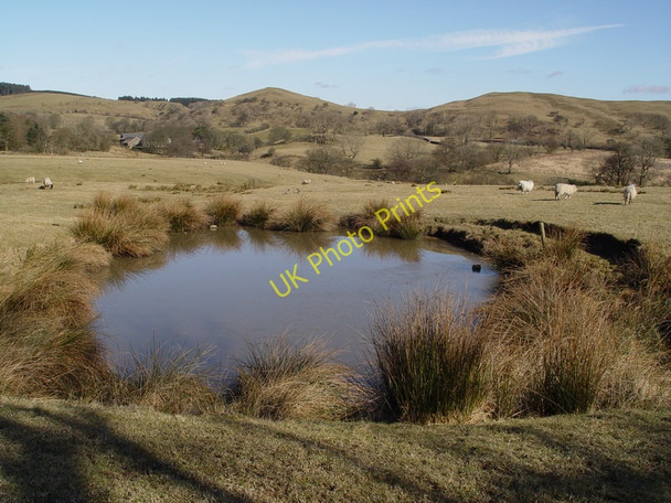 Photo 6"x4" Pond Near Dinkling Green Fair Oak\/SD6446 c2010
