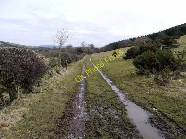 Photo 6"x4" Farm track north of West Hill Kirknewton\/NT9130 c2010