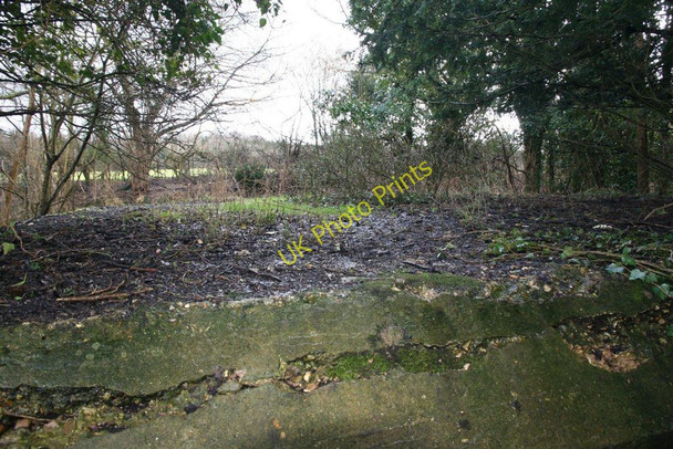 Photo 6"x4" View over the top Little Heath\/SU6573 c2010