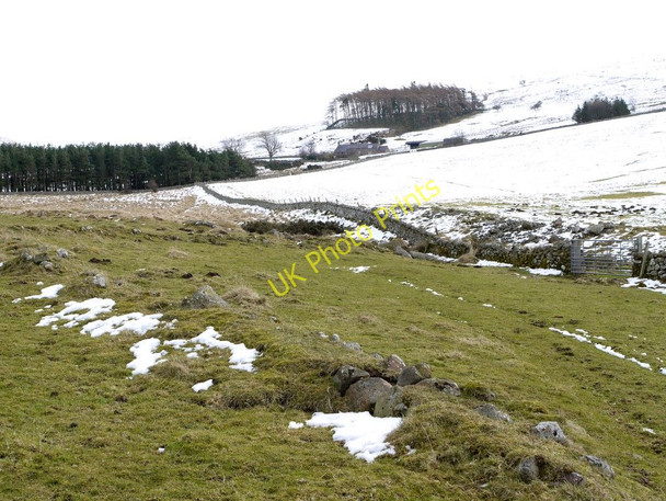 Photo 6"x4" Old boundary banks west of Torleehouse Kirknewton\/NT9130 c2010