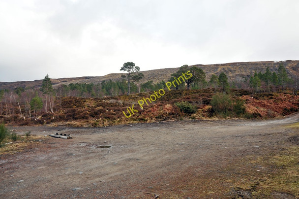 Photo 6"x4" Estate road in Glen Torridon Kinlochewe c2010