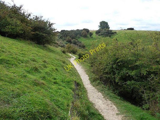Photo 6"x4" Path on Butser Hill Weston\/SU7221 c2009