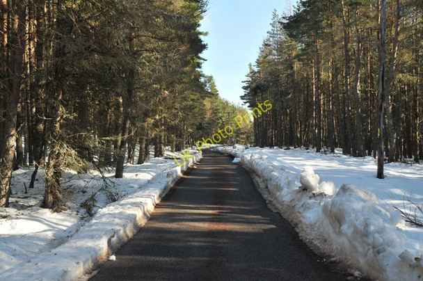 Photo 6"x4" Minor road near Abriachan Blackfold\/NH5840 c2010