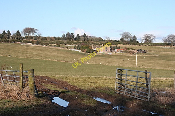Photo 6"x4" Looking towards West Cheyne Kirktown of Fetteresso c2010