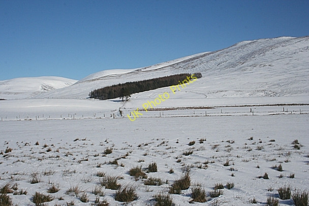 Photo 6"x4" The View from Tarabuckle Rottal c2010