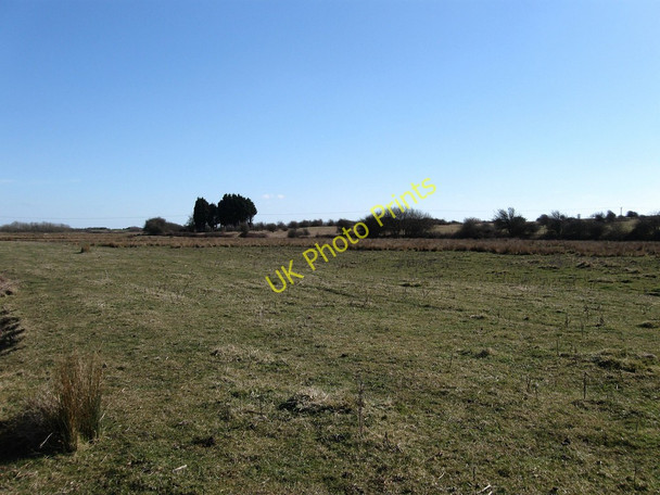Photo 6"x4" Lower Spring Marsh Norman's Bay c2010
