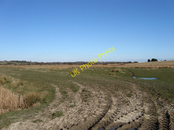 Photo 6"x4" Upper Spring Marsh Norman's Bay c2010