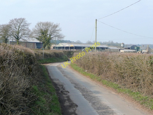 Photo 6"x4" Upper Ley Birdwood c2010