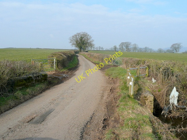 Photo 6"x4" Lane to Upper Ley Birdwood c2010
