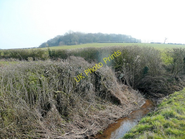 Photo 6"x4" View to Ley Court Wood Birdwood c2010