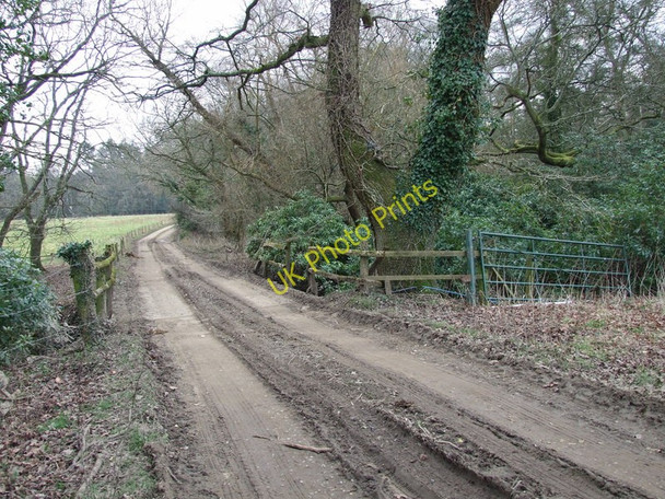 Photo 6"x4" White Bridge, Uddens Park Broom Hill\/SU0302 c2010