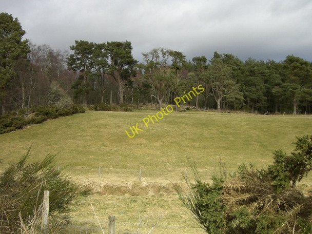 Photo 6"x4" Grazing land near Grantfield Brenachie c2010